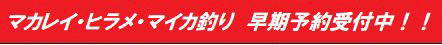 案内